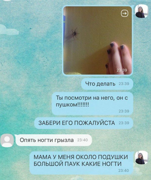 detmi-roditelyami-mezhdu-citaty-vkontakte-vkontakte-smeshnye-statusy
