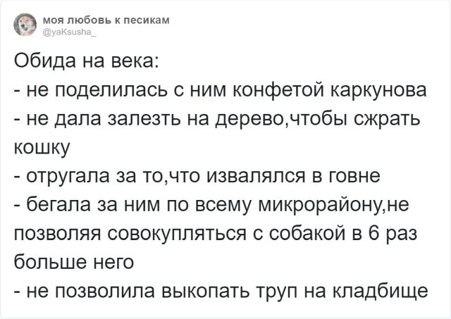 sobaka-obidelas-menya-citaty-vkontakte-vkontakte-smeshnye-statusy