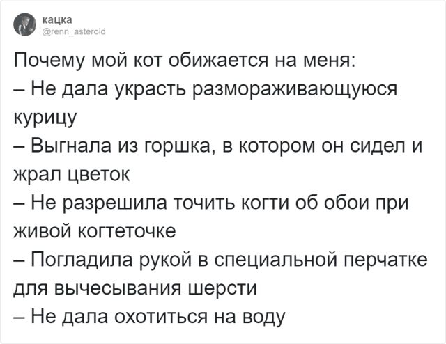 sobaka-obidelas-menya-citaty-vkontakte-vkontakte-smeshnye-statusy