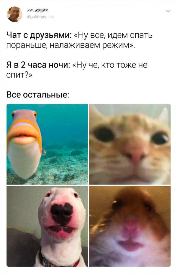 menya-kategorii-tvitov-citaty-vkontakte-vkontakte-smeshnye-statusy
