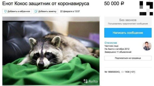 koronaviruse-zarabatyvayut-rossiyane-citaty-vkontakte-vkontakte-smeshnye-statusy