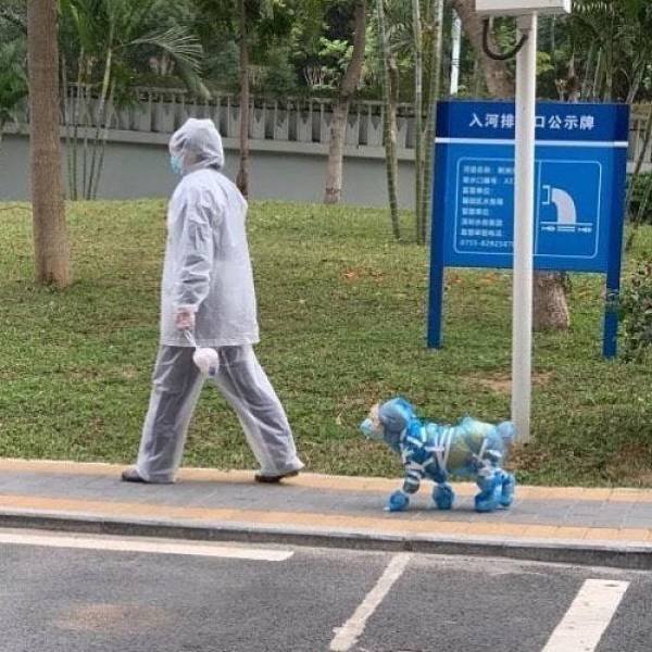 человек с собакой на улице