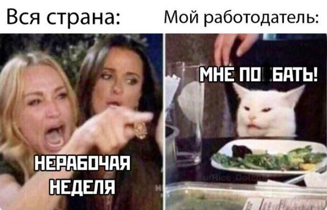 vyhodnuyu-nedelyu-shutyat-citaty-vkontakte-vkontakte-smeshnye-statusy