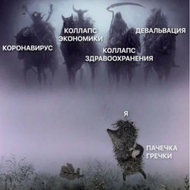mire-proishodyaschem-shutok-citaty-vkontakte-vkontakte-smeshnye-statusy