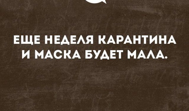 udalenka-ozhirenie-alkogolizm-citaty-vkontakte-vkontakte-smeshnye-statusy