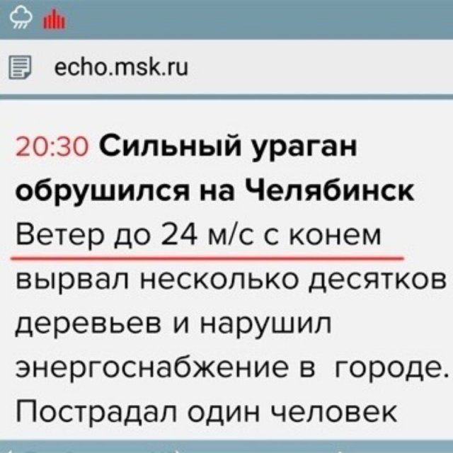 tolko-internete-bezgramotnost-citaty-vkontakte-vkontakte-smeshnye-statusy