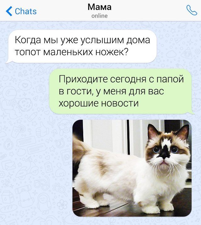prihodit-yumor-pomosch-citaty-vkontakte-vkontakte-smeshnye-statusy