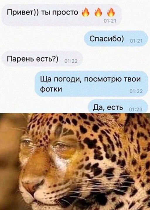 Позитивные смешные картинки 