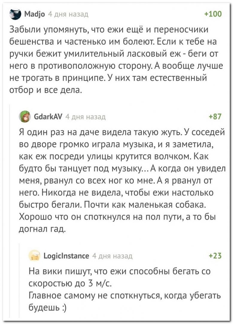 setey-socialnyh-kommentarii-citaty-vkontakte-vkontakte-smeshnye-statusy