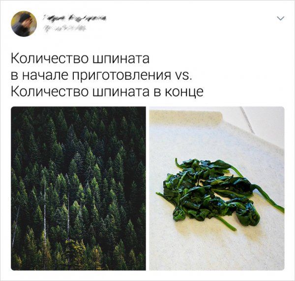 kulinarii-tvitov-zabavnyh-citaty-vkontakte-vkontakte-smeshnye-statusy
