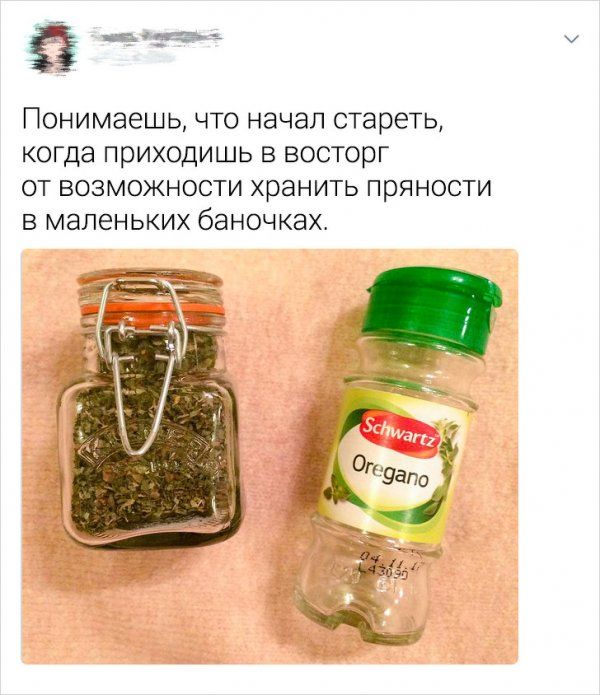boyatsya-povzroslet-kotorye-citaty-vkontakte-vkontakte-smeshnye-statusy
