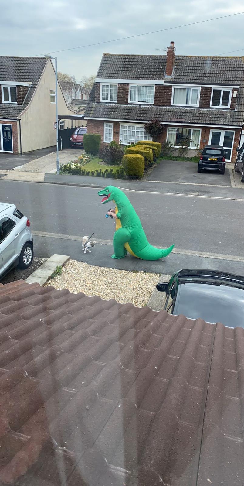 человек в костюме динозавра с собакой