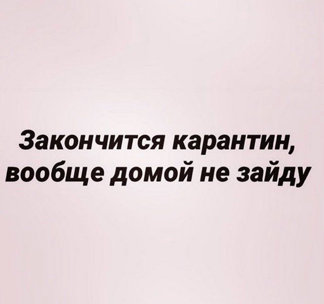 shutki-seti-samoizolyaciya-citaty-vkontakte-vkontakte-smeshnye-statusy