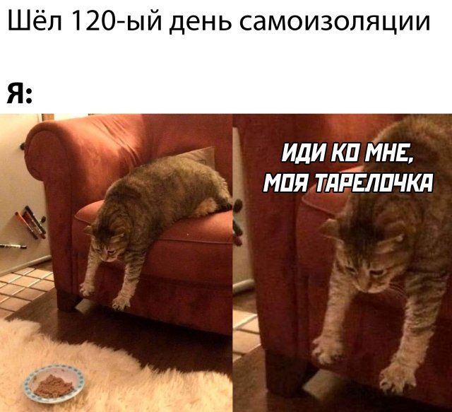 Новые приколы в картинках 