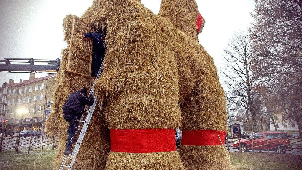 kartinok-interesnyh-prikolnyh-kartinki-smeshnye-kartinki-fotoprikoly