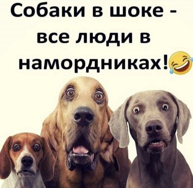 karantin-maski-koronavirus-citaty-vkontakte-vkontakte-smeshnye-statusy