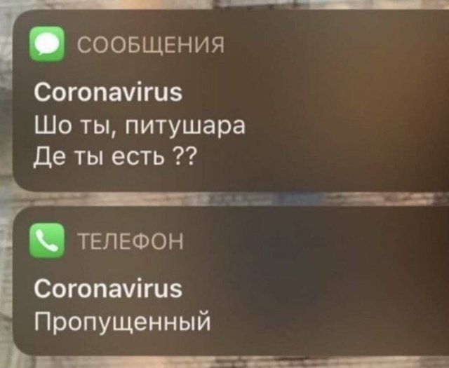 karantin-maski-koronavirus-citaty-vkontakte-vkontakte-smeshnye-statusy