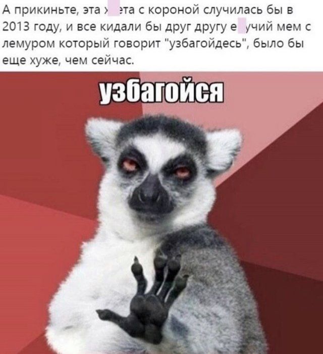 karantin-udalenka-citaty-vkontakte-vkontakte-smeshnye-statusy