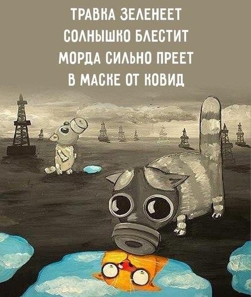 karantin-udalenka-citaty-vkontakte-vkontakte-smeshnye-statusy