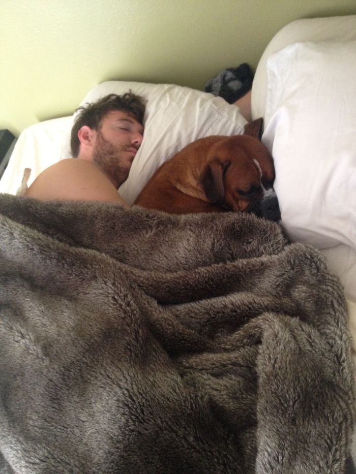 парень и собака спят вместе на кровати