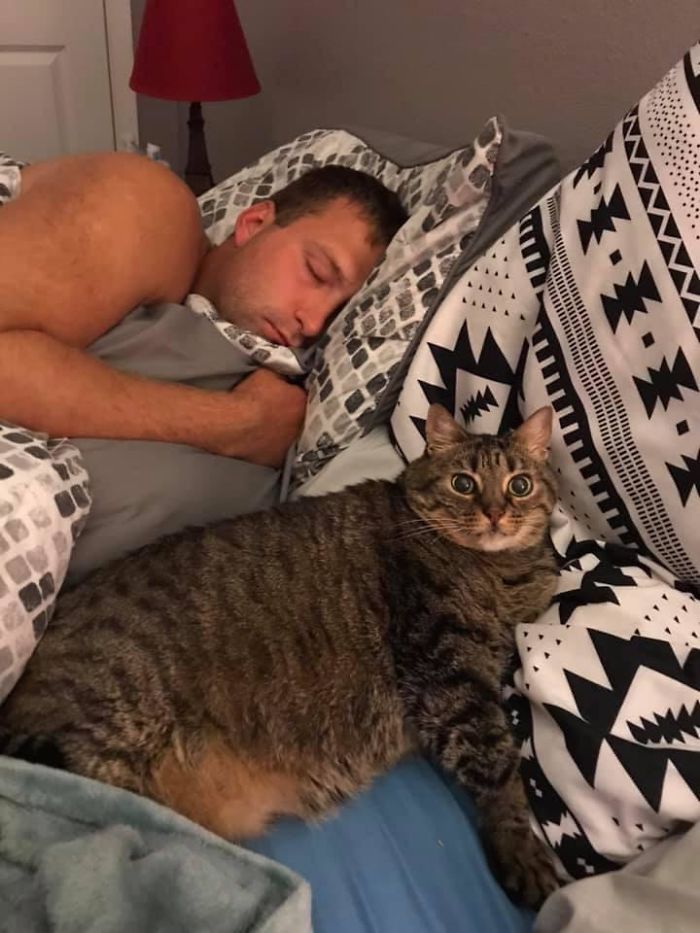 кот спит рядом с мужчиной на кровати