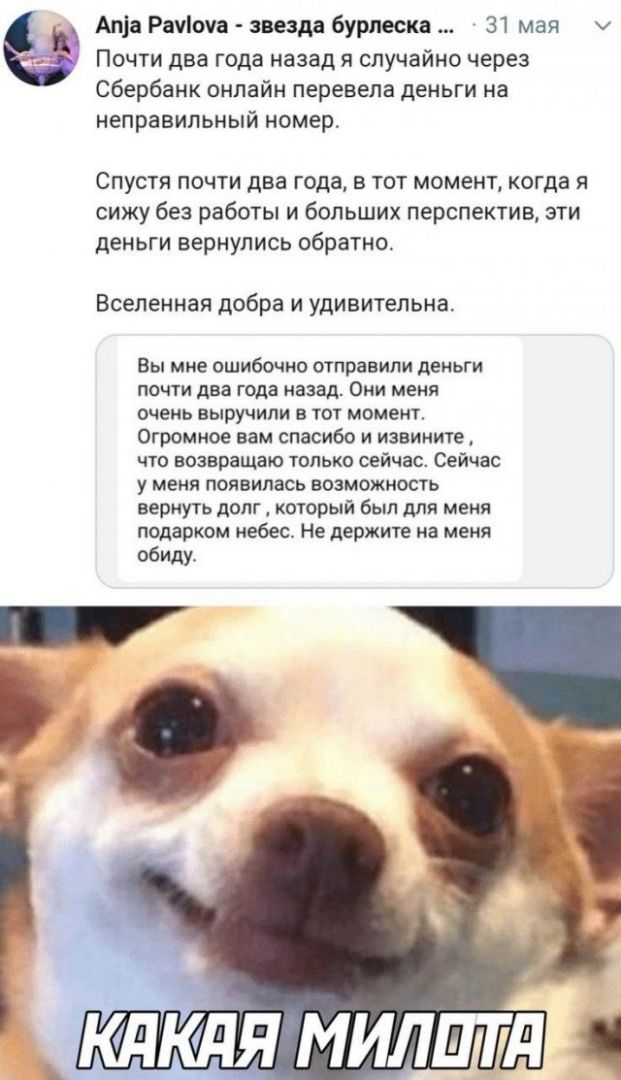 udalenka-otpusk-koronavirus-citaty-vkontakte-vkontakte-smeshnye-statusy