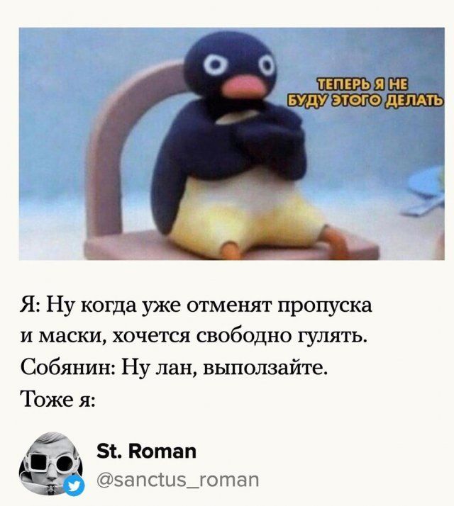 pobedil-koronavirus-karantin-citaty-vkontakte-vkontakte-smeshnye-statusy