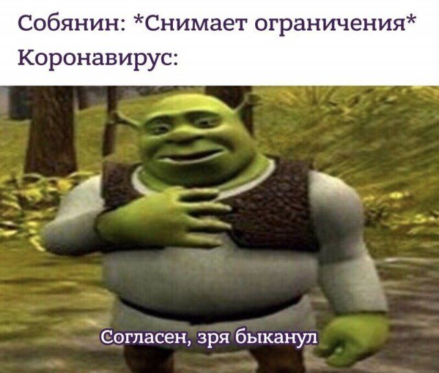samoizolyacii-rezhima-otmenu-citaty-vkontakte-vkontakte-smeshnye-statusy