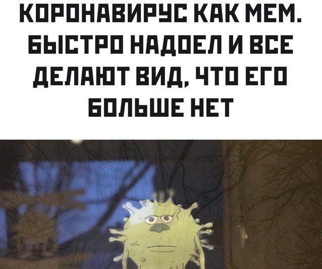 protesty-golosovanie-koronavirus-citaty-vkontakte-vkontakte-smeshnye-statusy