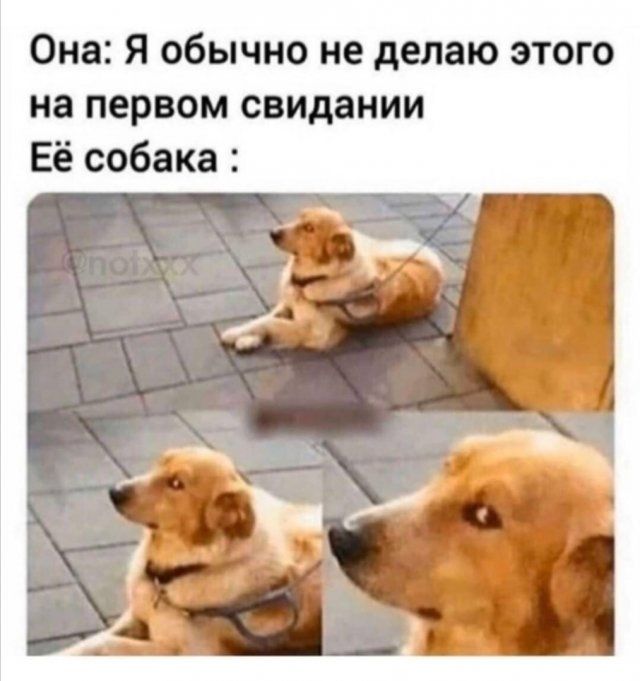 Шутки и мемы про девушек 