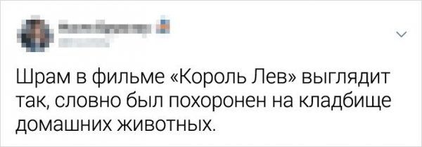 kino-tvitov-zabavnyh-citaty-vkontakte-vkontakte-smeshnye-statusy