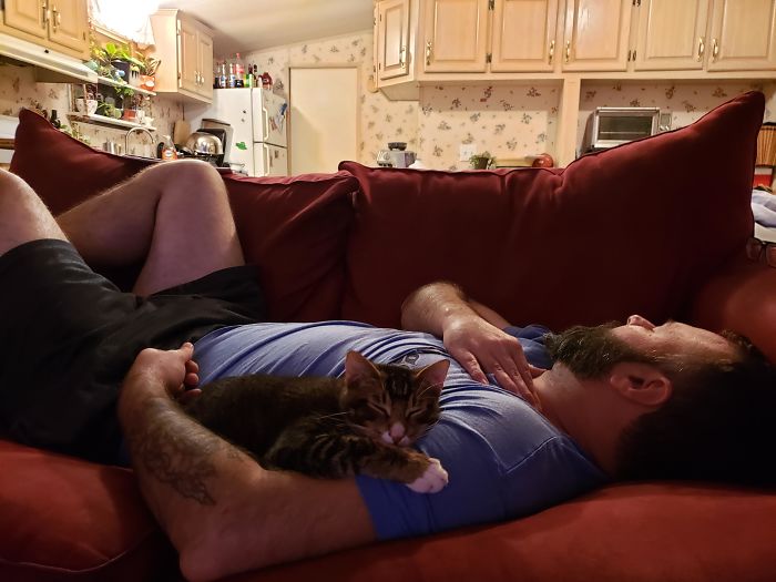 мужчина спит с кошкой на диване