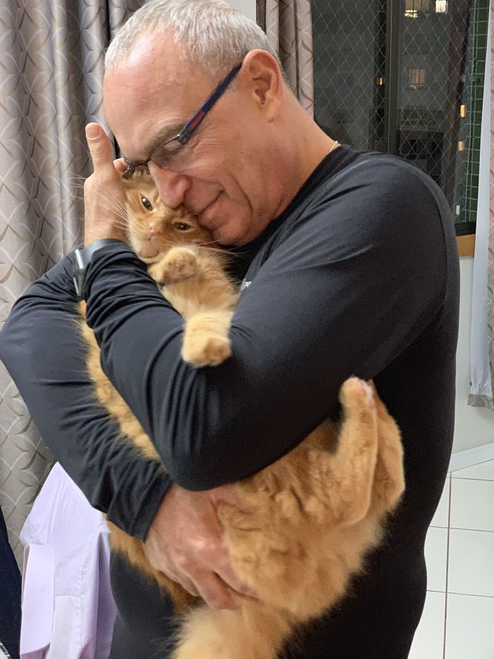 мужчина в очках обнимает рыжего кота