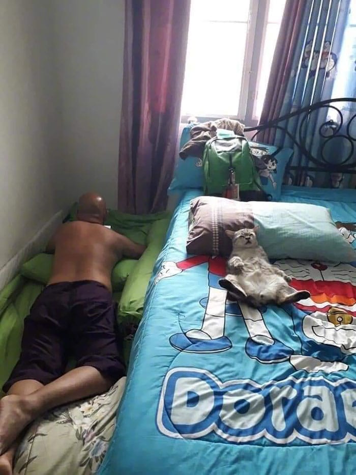 мужчина спит на полу, а кот на его кровати