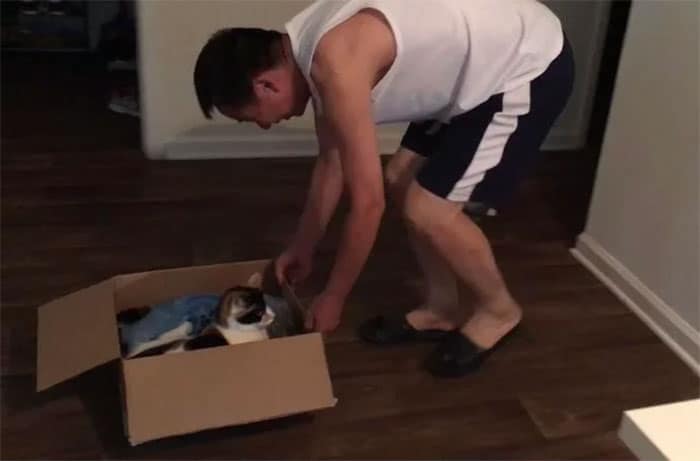 мужчина тянет в коробке кота