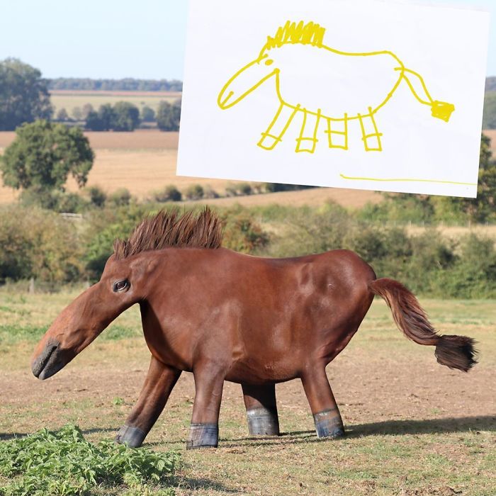 рисунок и фото лошади