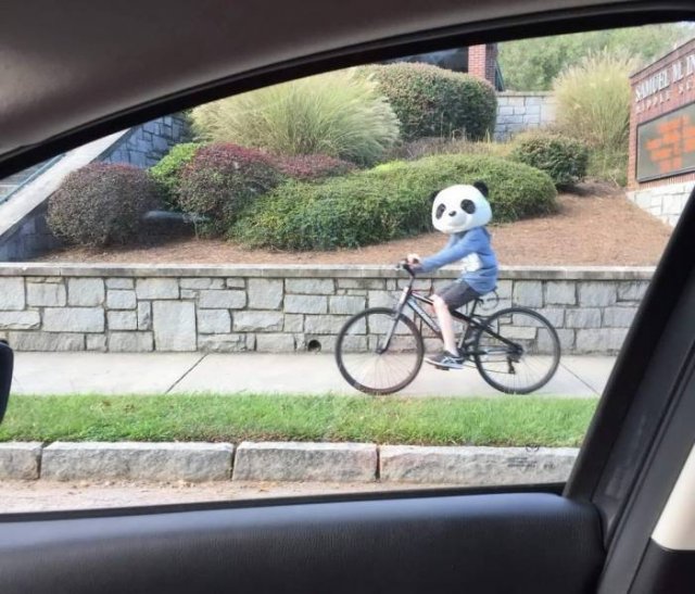 человек на велосипеде с головой панды
