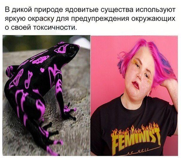 Шутки и мемы про феминизм  Приколы,ekabu,ru,мемы,мужчины