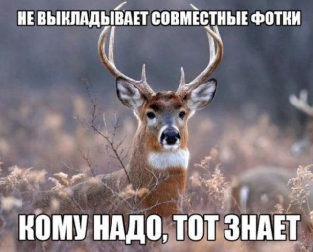 devushek-sovremennyh-shutki-citaty-vkontakte-vkontakte-smeshnye-statusy