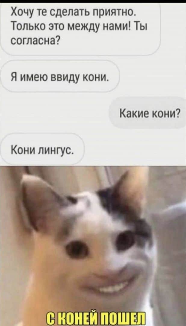 interneta-memy-shutki-citaty-vkontakte-vkontakte-smeshnye-statusy