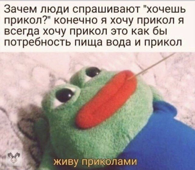 interneta-memy-shutki-citaty-vkontakte-vkontakte-smeshnye-statusy