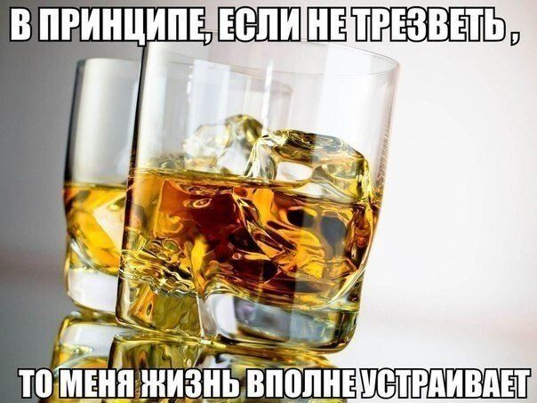 Мемы про алкоголь к пятнице (15 фото)