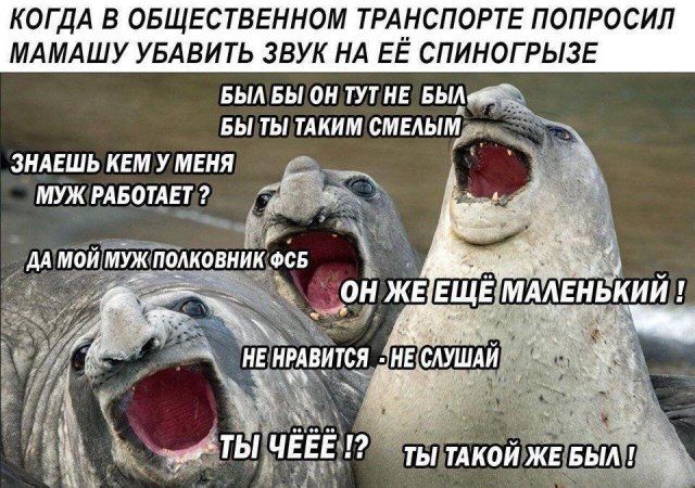 yazhmaterey-istorii-memy-citaty-vkontakte-vkontakte-smeshnye-statusy