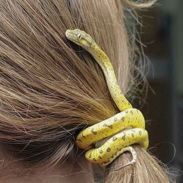 резинка в волосах в виде зеленой змеи