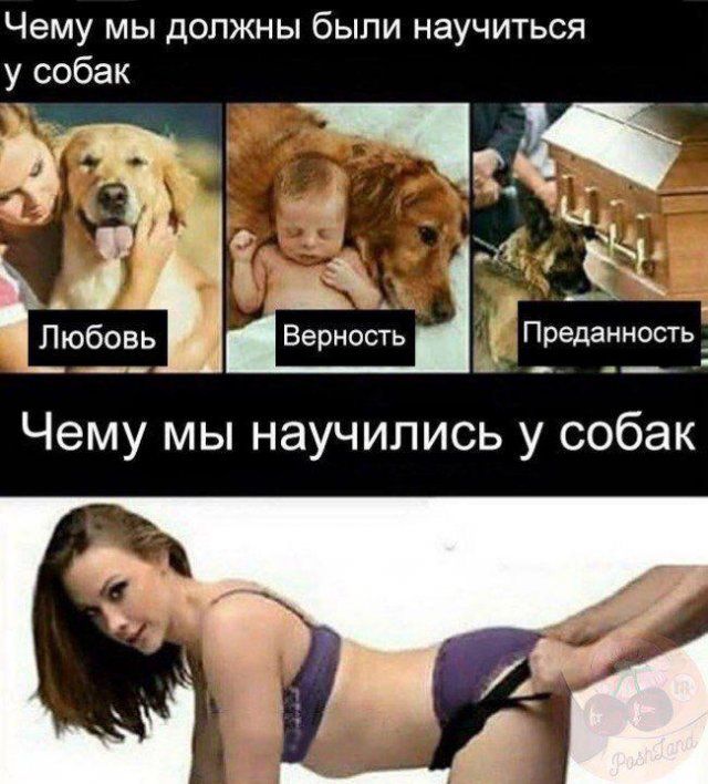 prikoly-memy-citaty-vkontakte-vkontakte-smeshnye-statusy