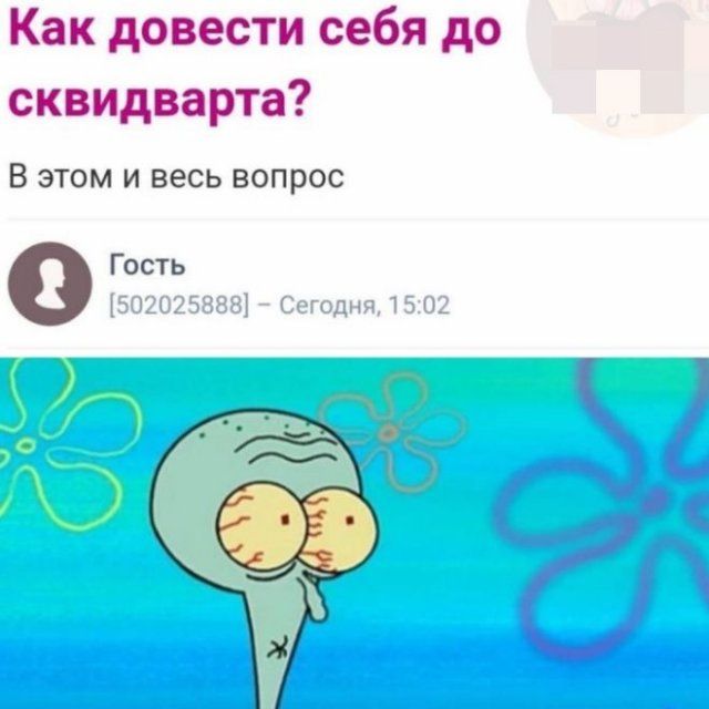 shutki-memy-citaty-vkontakte-vkontakte-smeshnye-statusy