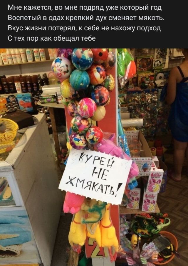 socsetey-rifmy-zabavnye-citaty-vkontakte-vkontakte-smeshnye-statusy