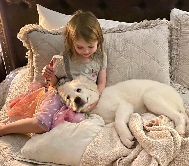 девочка с белой собакой на кровати