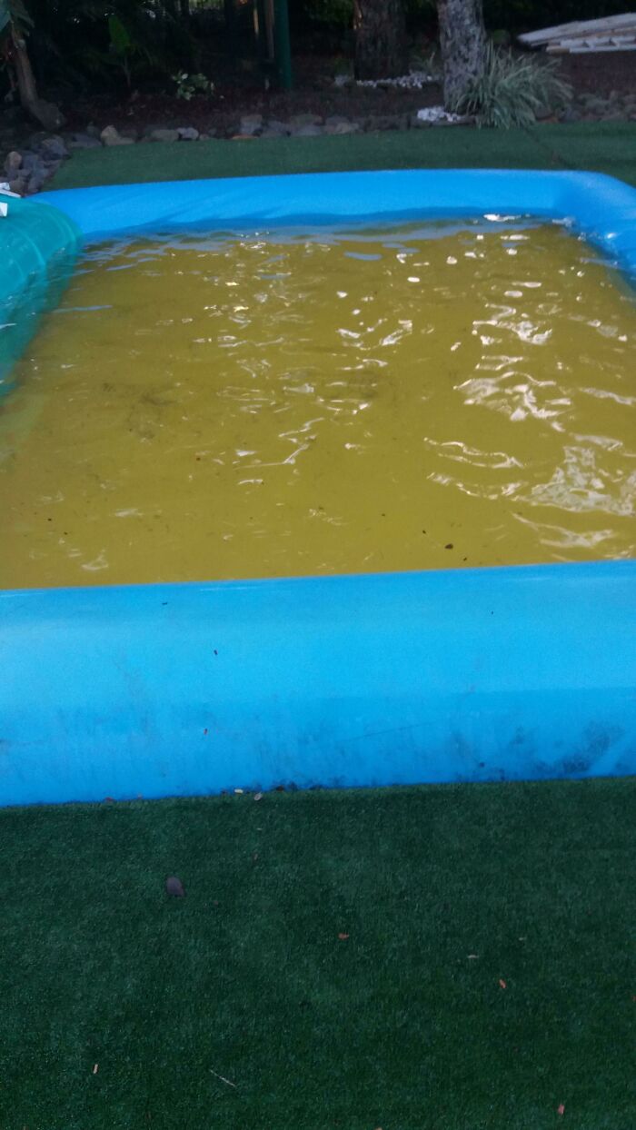 надувной бассейн
