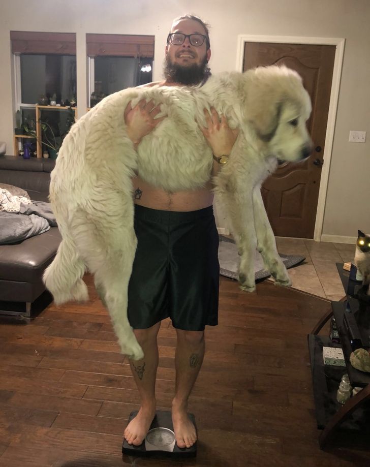 мужчина с белой собакой на руках стоит на весах
